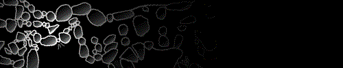 Spotlight pan of cave map